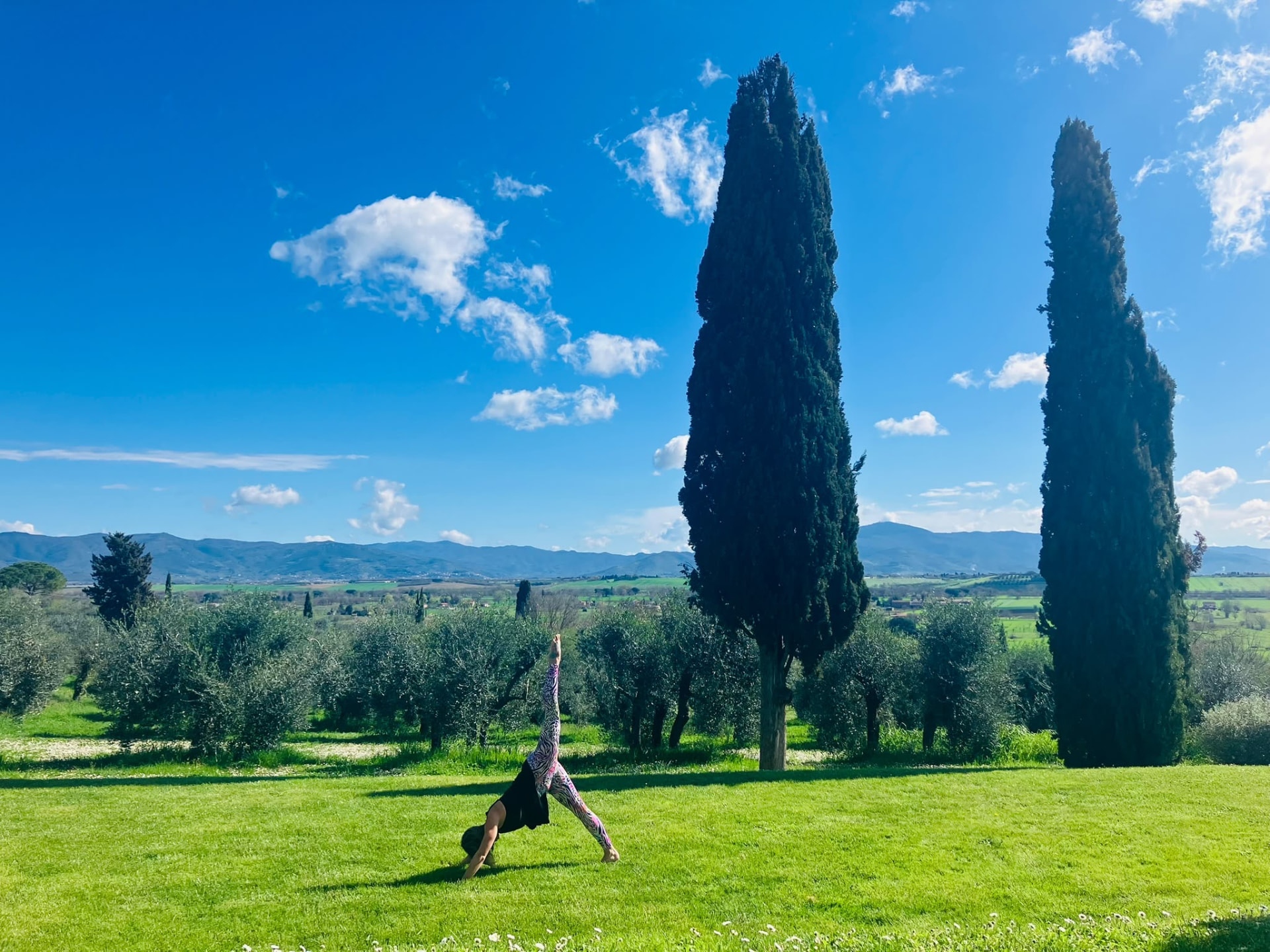 Celene practicing yoga between cypress trees